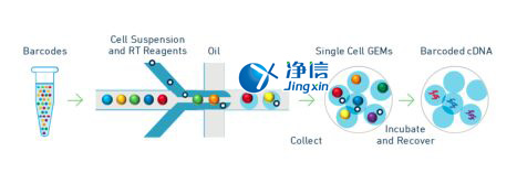 中國人自己的微流控單細(xì)胞測序儀來了！_微流控Drop-seq,微流控技術(shù)