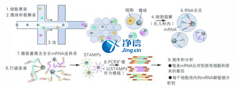 中國人自己的微流控單細(xì)胞測序儀來了！_微流控Drop-seq