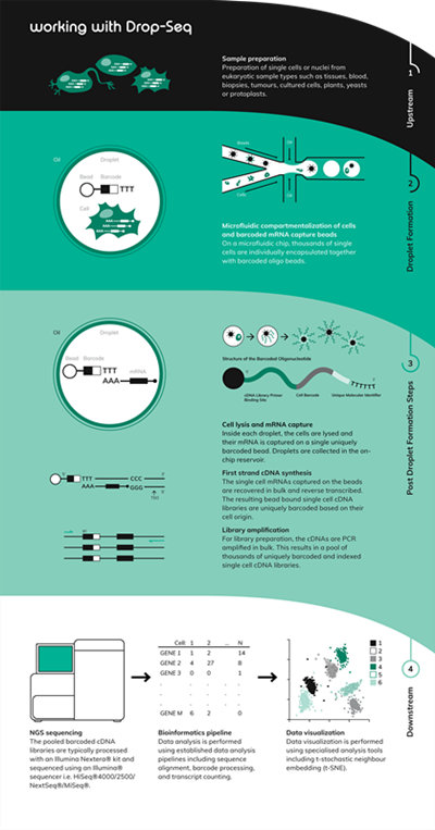 Drop-seq