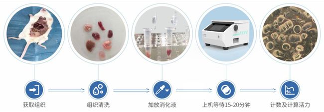 細(xì)胞制備懸液分離流程